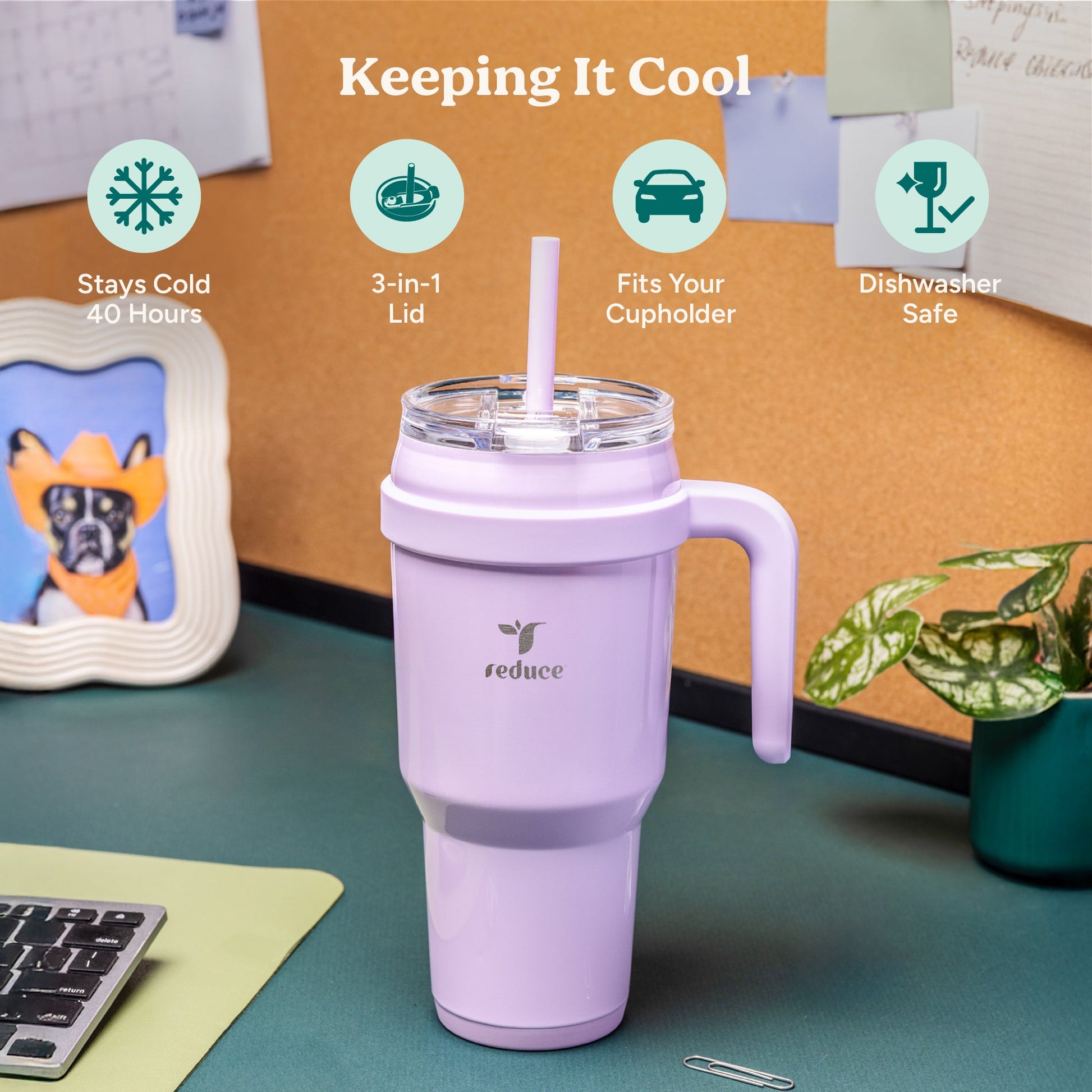 cold1-40-oz-z5 Cold1_40oz_Cotton_Infographic_1.jpg