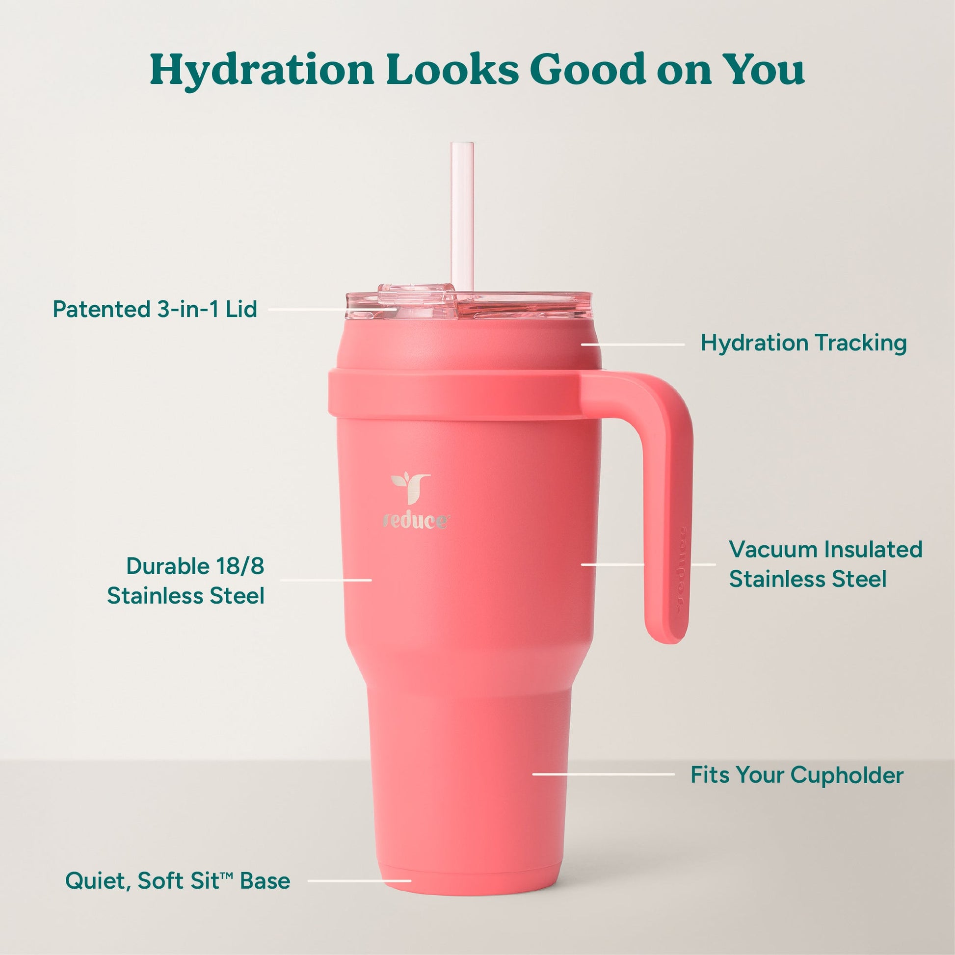 cold1-40-oz-z5 Cold1_40oz_Daiquiri_Infographic_2.jpg