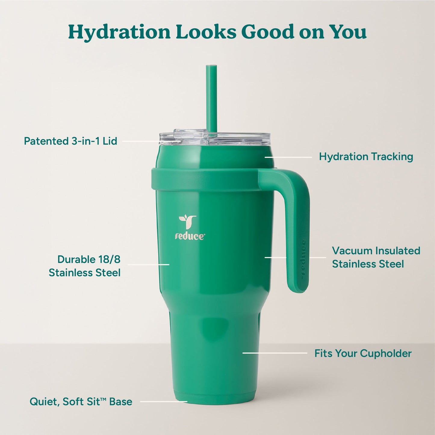 cold1-40-oz-z5 Cold1_40oz_PalmLeaf_Infographic_2.jpg