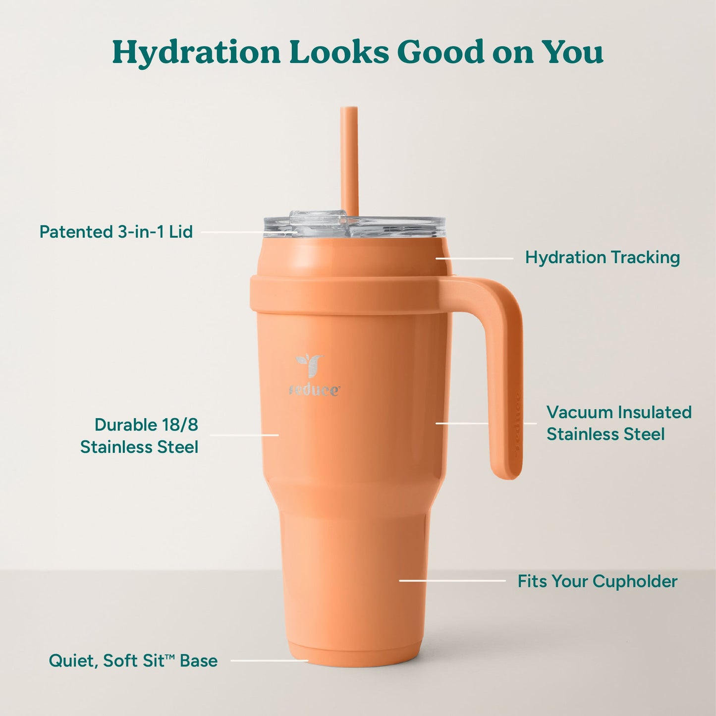 cold1-40-oz-z5 Cold1_40oz_Papaya_Infographic_2.jpg