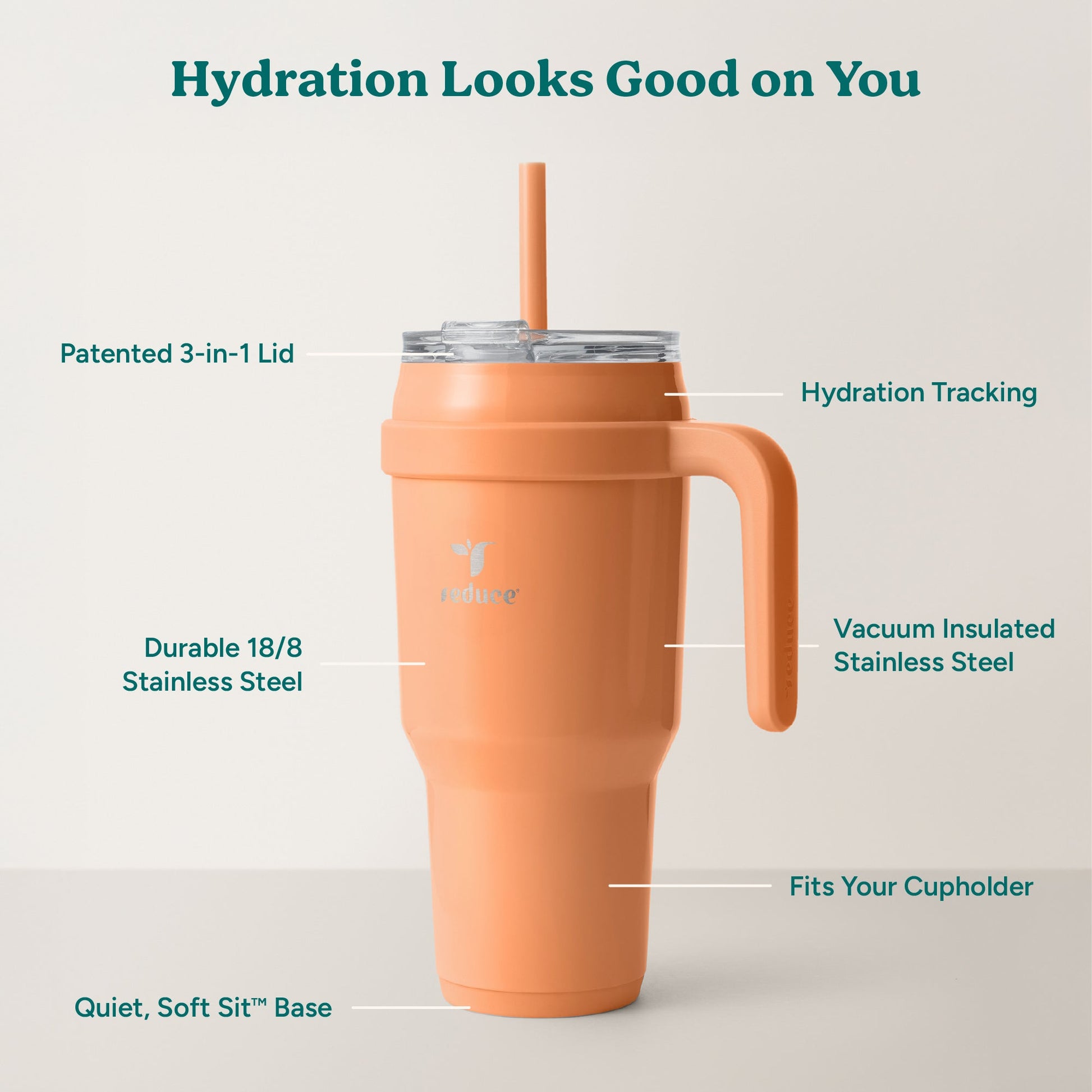 cold1-40-oz-z5 Cold1_40oz_Papaya_Infographic_2.jpg